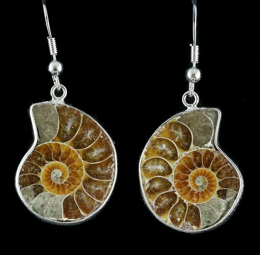Fossil Ammonite Earrings - Million Years Old #48852